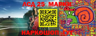 2c-b Камышлов